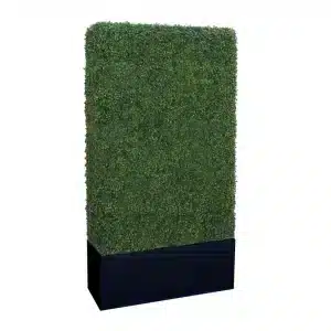 Noir Tall Boxwood Hedge Wall