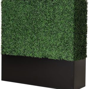 Noir Short Boxwood Hedge Wall